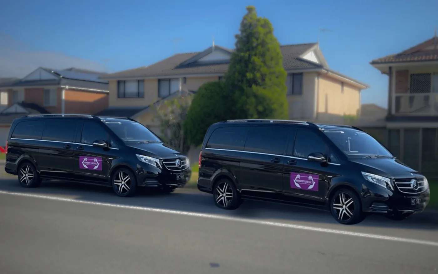 Mercedes Vito family van